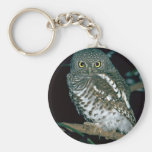 Barred Owl Keychain
