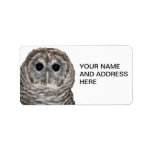 Barred Owl Personalized Address Labels