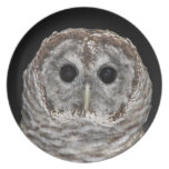Barred Owl melamine plate