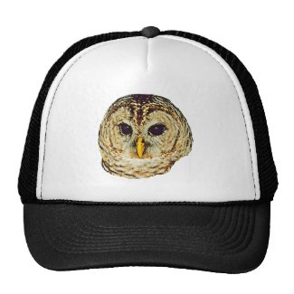 Barred Owl Mesh Hats