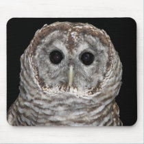 Barred Owl mousepads