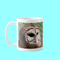 Barred Owl mugs by Artists4God Barred Owl mugs