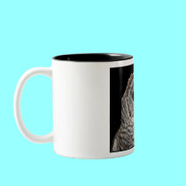 Barred Owl mugs by Artists4God Barred Owl mugs