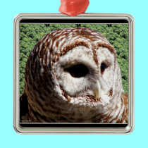 Barred Owl ornaments