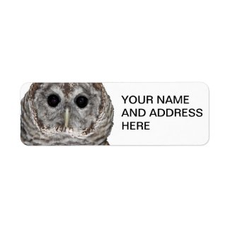 Barred Owl Personalized Address Labels
