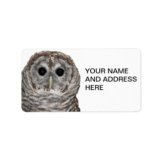 Barred Owl Personalized Address Labels