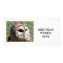 Barred Owl Personalized Photo Card