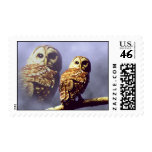 Barred Owl Postage