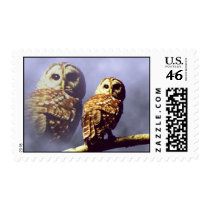 Barred Owl Postage