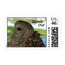 Barred Owl postage
