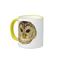 Barred Owl Ringer Mug