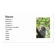 Barred Owl Staring Business Card