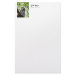 Barred Owl Staring Custom Stationery