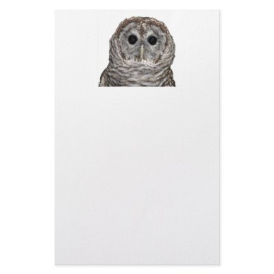 Barred Owl Custom Stationery by Artists4God