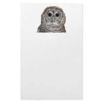 Barred Owl Custom Stationery