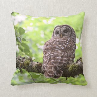 Barred Owl Throw Pillow