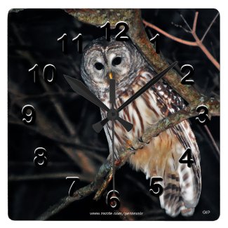Barred Owl Wall Clocks