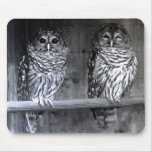 Barred Owls mousepads