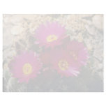 Barrel Cactus blooms Pink flowers Custom Letterhead