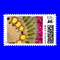 Barrel Cactus Blooms Yellow Pink  Postage Stamps