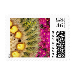 Barrel Cactus Blooms Yellow Pink Postage Stamps stamp
