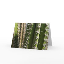 Barrel Cactus Card