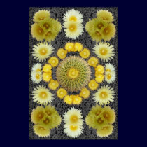 BARREL CACTUS COMPOSITE 1 posters
