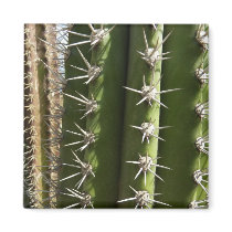 Barrel Cactus Magnet