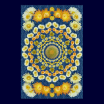 Barrel Cactus Mandala 2 on Blue Spine Pattern posters