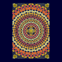BARREL CACTUS MANDALA 3 posters