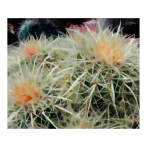 Barrel Cactus posters