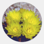 Barrel Cactus Round Stickers