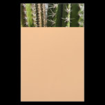 Barrel Cactus Stationery