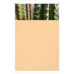 Barrel Cactus Stationery