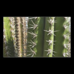 Barrel Cactus Sticker