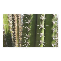 Barrel Cactus Sticker