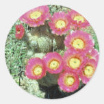 Barrel Cactus Sticker