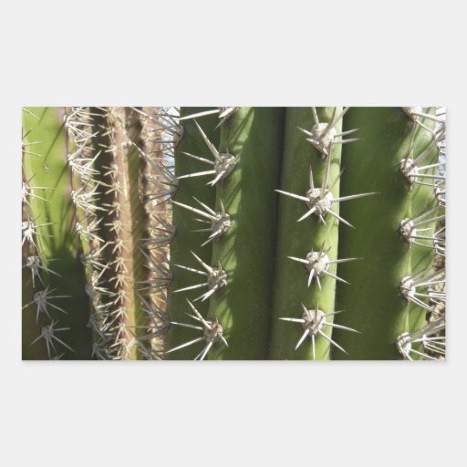 Barrel Cactus Sticker