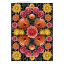 Barrel Cacuts Composite 2 as Card