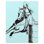 Barrel Racer 100 flyers
