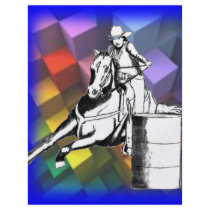 Barrel Racer 102 Flyers