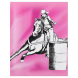Barrel Racer 103 Custom Flyer