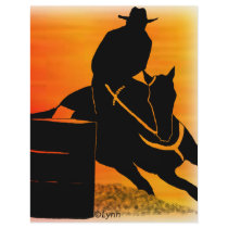 Barrel Racer 201 Flyers