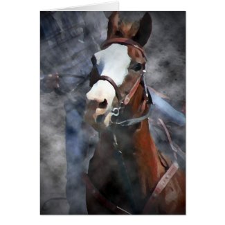 Barrel Racer III card