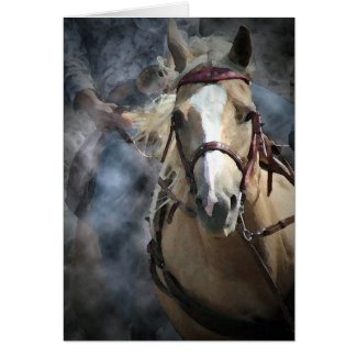 Barrel Racer IV card