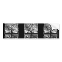 Barren Branches Tree bumper stickers