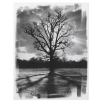 Barren Branches Tree flyers by VoXeeD Barren Branches Tree flyers