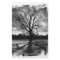 Barren Branches Tree Custom Stationery