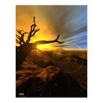 Barren Land posters