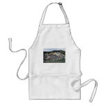 Barrier Reef Apron